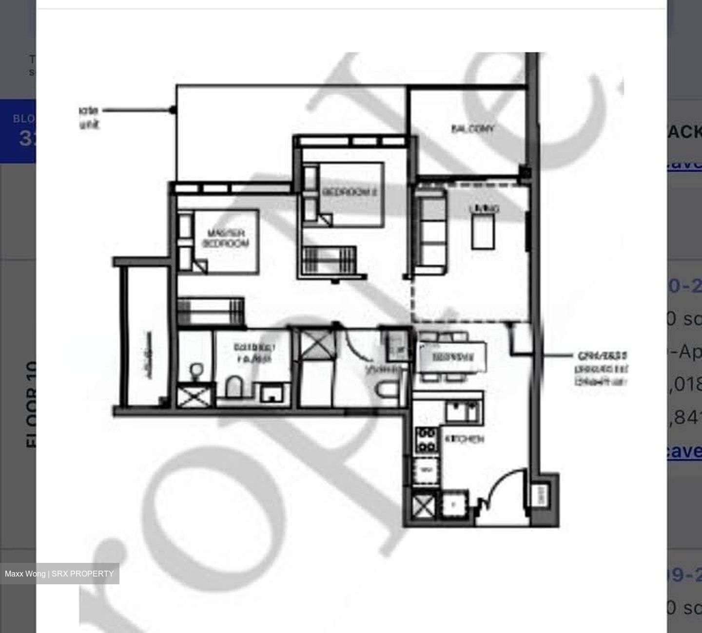 Leedon Green (D10), Condominium #621736621